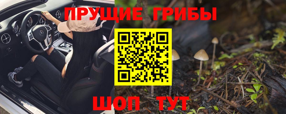 Гуково  Галлюциногенные грибы GOLDEN TEACHER  что такое наркотик  Вход с VPN 